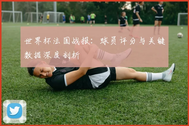 世界杯法国战报:球员评分与关键数据深度剖析