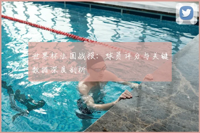 世界杯法国战报：球员评分与关键数据深度剖析