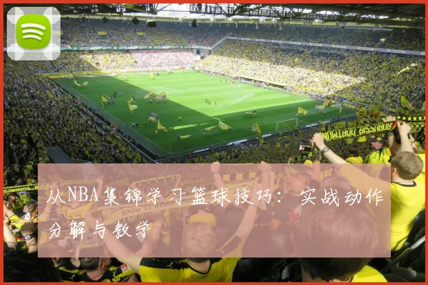 从NBA集锦学习篮球技巧:实战动作分解与教学