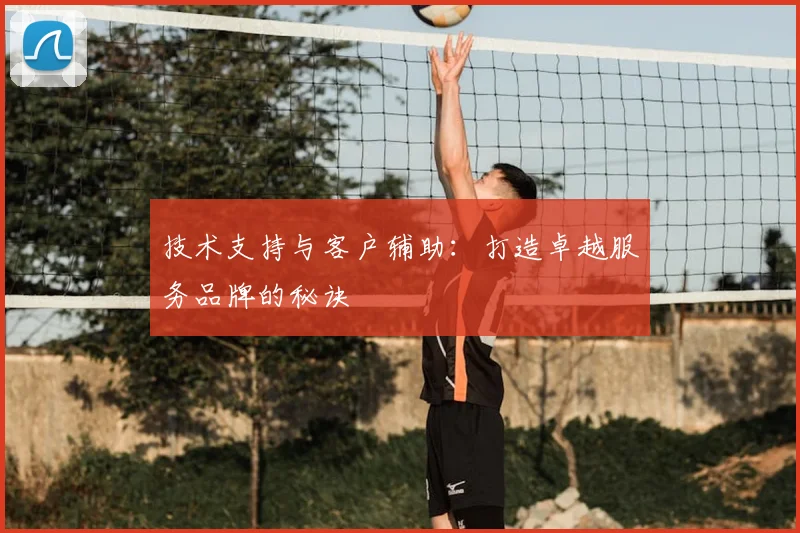 技术支持与客户辅助:打造卓越服务品牌的秘诀