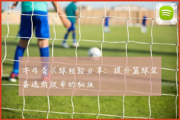 字母哥买球经验分享:提升篮球装备选购效率的秘诀
