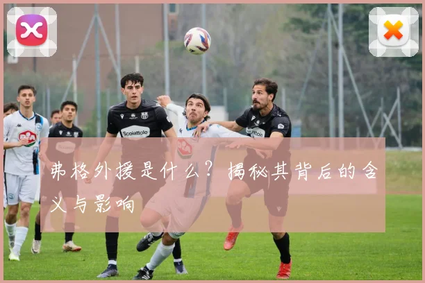 弗格外援是什么？揭秘其背后的含义与影响