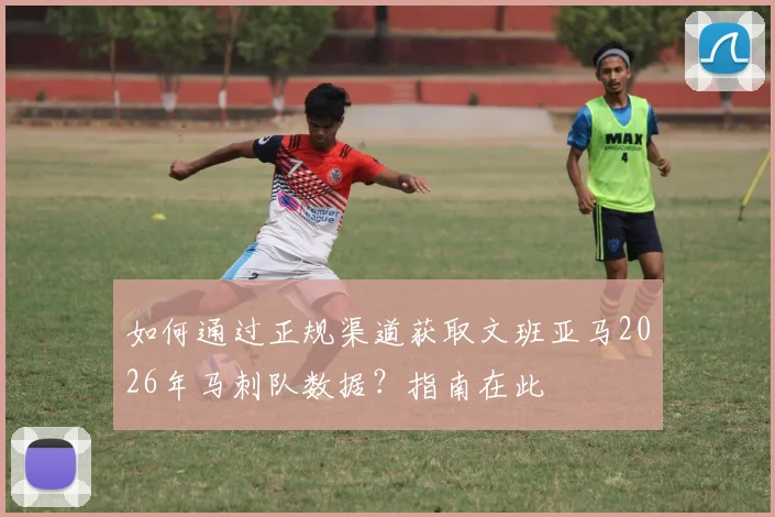 如何通过正规渠道获取文班亚马2026年马刺队数据?指南在此