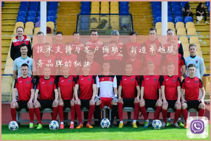 技术支持与客户辅助：打造卓越服务品牌的秘诀