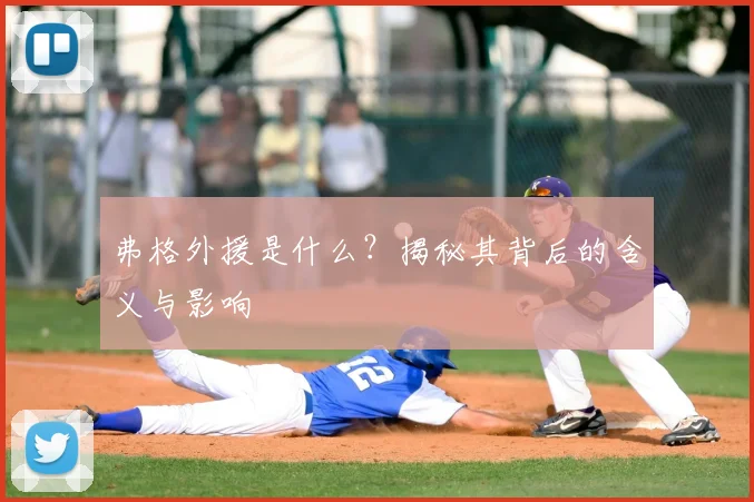 弗格外援是什么?揭秘其背后的含义与影响